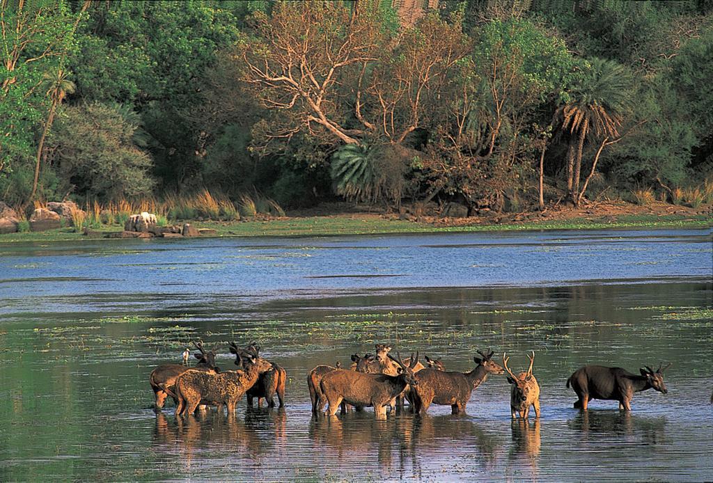The Oberoi Vanyavilas Wildlife Resort, Ranthambhore Sawai Madhopur Extérieur photo